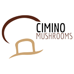 CIMINO MUSHROOMS